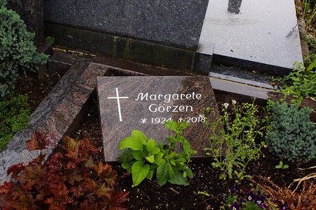 Morenhoven