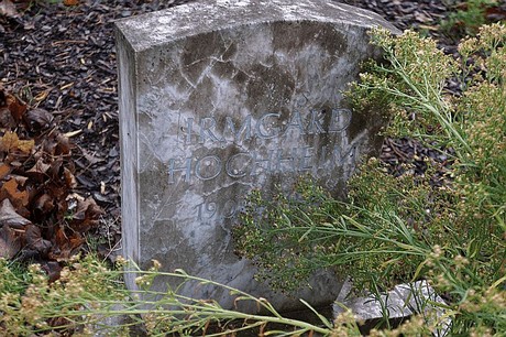 Morschenich