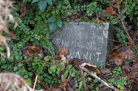 Morschenich
