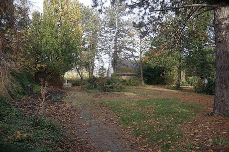 Morschenich
