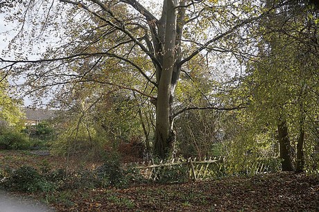 Morschenich