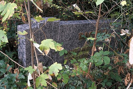 Morschenich