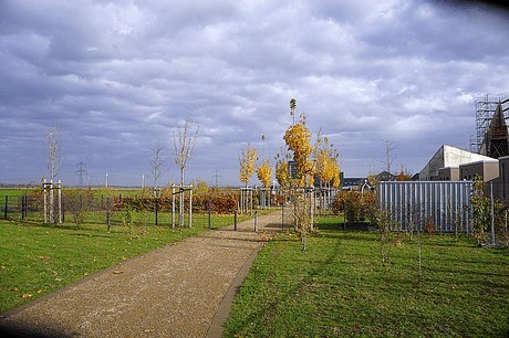 Morschenich