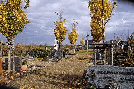 Morschenich