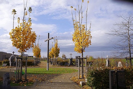 Morschenich