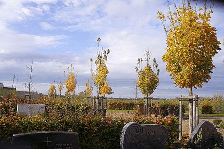 Morschenich