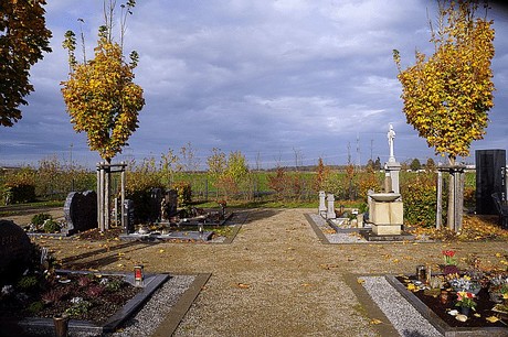 Morschenich