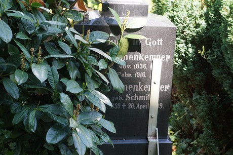 Muffendorf