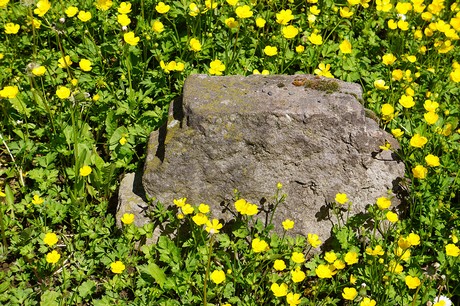 Muffendorf