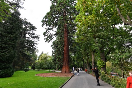 mainau