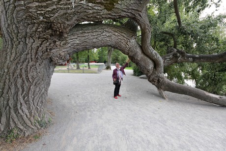 mainau