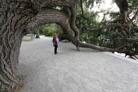 mainau