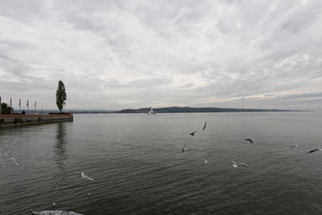 mainau