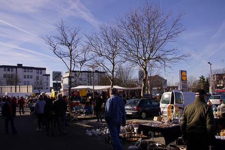 meckenheim