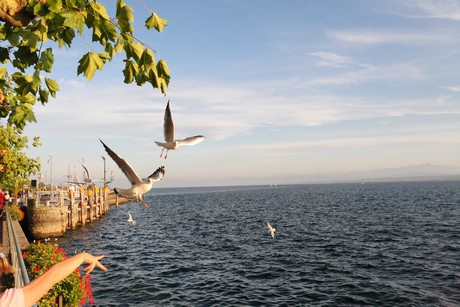 meersburg-abend