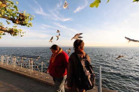 meersburg-abend