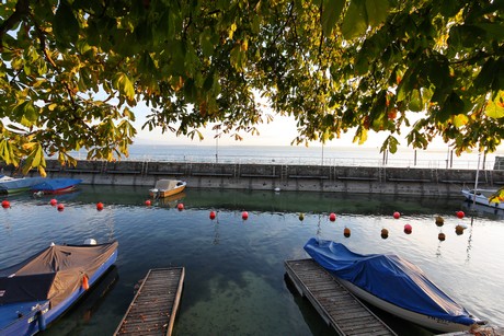 meersburg-abend