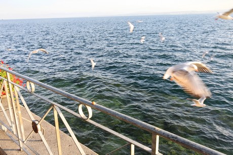 meersburg