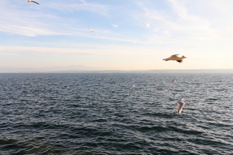 meersburg