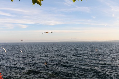 meersburg