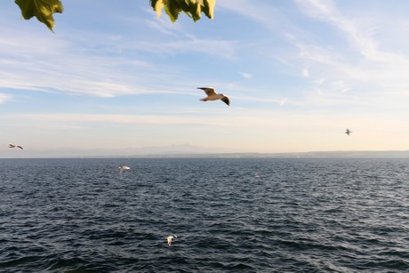 meersburg