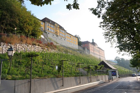 meersburg-morgen