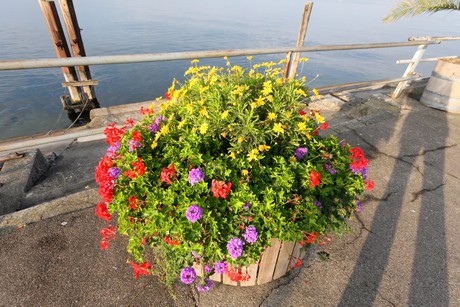 meersburg-morgen