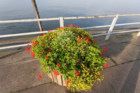 meersburg-morgen