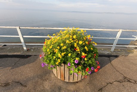 meersburg-morgen