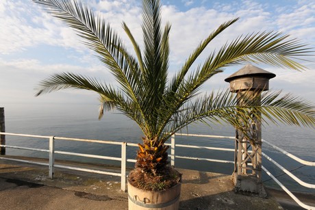 meersburg-morgen