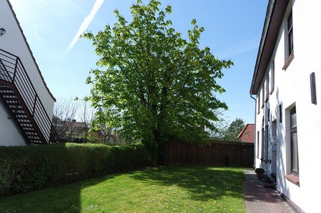 Meldorf