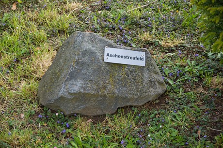 Merzenich