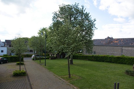 Merzenich