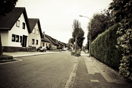 merzenich