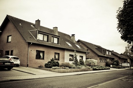 merzenich