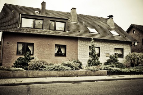 merzenich