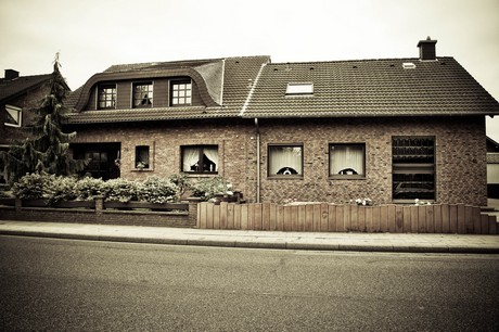 merzenich