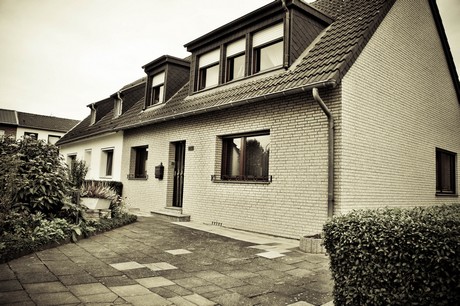 merzenich