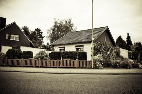 merzenich