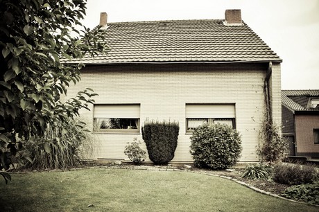 merzenich