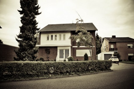 merzenich