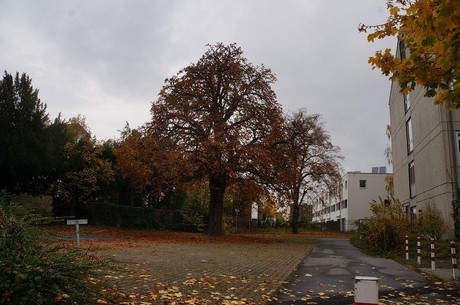 Monheim