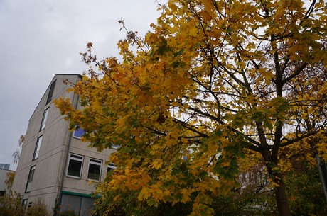 Monheim