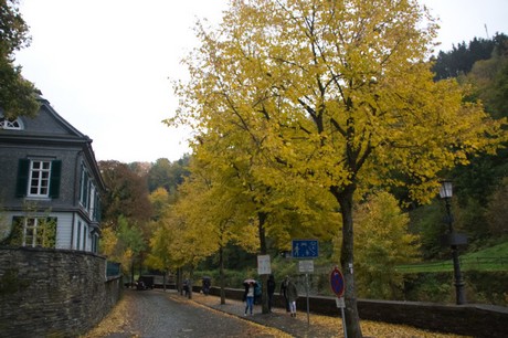 monschau