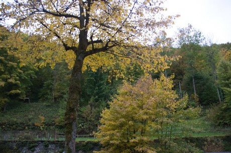 monschau