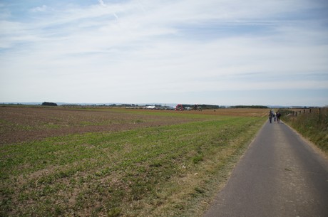 mueggenhausen