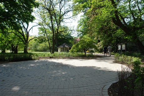 botanischer-garten