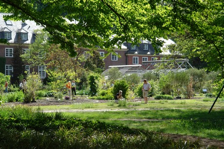 botanischer-garten