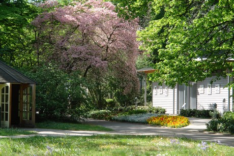 botanischer-garten