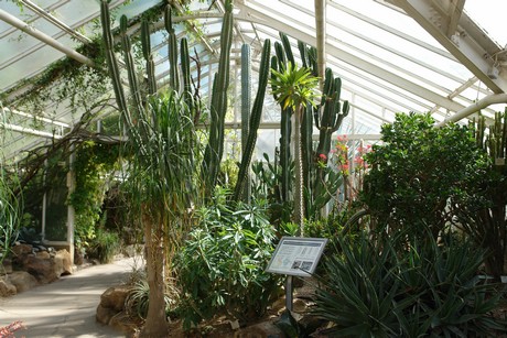 botanischer-garten